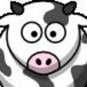 Meet your Posher, Teri